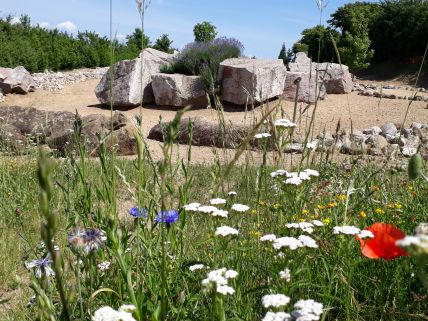 Geologisch-botanisch über den Strandpfad der Sinne