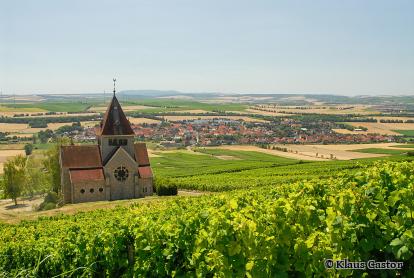 Blick über die grünen Weinberge auf die Kreuzkapelle am Wissberg - Foto von Klaus Castor