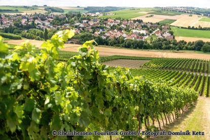 Blick von dern Weinbergen über die Felder herunter auf Ingelheim - Foto von Rheinhessen-Touristik GmbH / Fotograf: Dominik Ketz