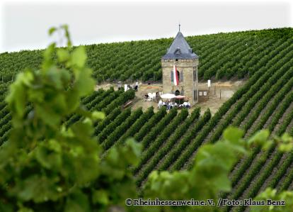 Blick durch grüne Reben auf ein fahnengeschmücktes Weinbergshäuschen. wo Leute picknicken. - Foto von Rheinhessenwein e.V. / Foto: Klaus Benz