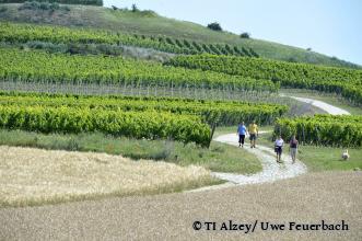 Zwei Paare wandern mit ihrem Hund auf einem gepflasterten Weg, der sich durch Weinberge und Felder schlängelt. - Foto von TI Alzey/ Uwe Feuerbach