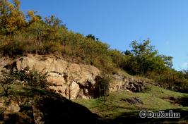Felswand aus Aulheimer Andesit mit Büschen bewachsen  - Foto von ©Dr.Kuhn