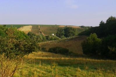 Blick über Wiesen und Felder ins Aulheimer Tal