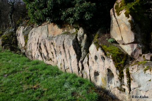 Steilwand Siefersheimer Kliff - Foto von ©Dr.Kuhn