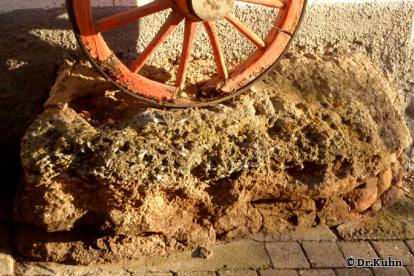 Austernbänke - Foto von ©Dr.Kuhn