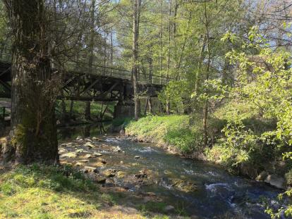Brücke im Wald über den Appelbach