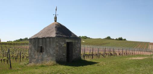 Weinbergshäuschen 