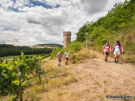 zwei Paare wandern auf der Hiwweltour Heideblick, im Hintergrund der Ajaxturm - Foto von ©Dominik Ketz