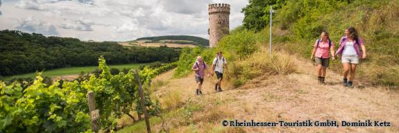 4 Menschen wandern zwischen Weinbergen auf der Hiwweltour Heideblick. Im Hintergrund: der Ajaxturm - Foto von Rheinhessen-Touristik GmbH, Dominik Ketz
